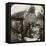 The Royal Army Medical Corps at Monchy Dressing Station, France, World War I, 1914-1918-null-Framed Premier Image Canvas