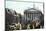 The Royal Exchange, London, 20th Century-null-Mounted Giclee Print