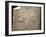 The Royal Family: Akhenaten, Nefertiti and their Children, Ca 1350 Bc-null-Framed Photographic Print