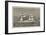 The Royal Mail Steamship Dunrobin Castle-null-Framed Giclee Print