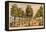 'The Royal Palace of St. James's Next The Park', c1870-Unknown-Framed Premier Image Canvas