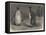 The Royal Penguin in the Zoological Society's Gardens, Regent's Park-Friedrich Wilhelm Keyl-Framed Premier Image Canvas