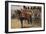 The Royal Scots Greys-Henry Payne-Framed Giclee Print