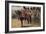 The Royal Scots Greys-Henry Payne-Framed Giclee Print