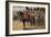 The Royal Scots Greys-Henry Payne-Framed Giclee Print