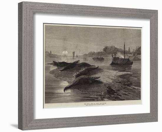 The Royal Visit to India, the Ganges-null-Framed Giclee Print