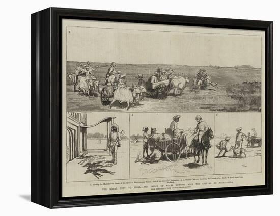 The Royal Visit to India, the Prince of Wales Hunting with the Cheetah at Muckinpoora-null-Framed Premier Image Canvas