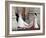 The Royal Wedding of Prince William and Kate Middleton in London, Friday April 29th, 2011-null-Framed Photographic Print