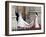 The Royal Wedding of Prince William and Kate Middleton in London, Friday April 29th, 2011-null-Framed Photographic Print