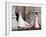 The Royal Wedding of Prince William and Kate Middleton in London, Friday April 29th, 2011-null-Framed Photographic Print