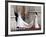 The Royal Wedding of Prince William and Kate Middleton in London, Friday April 29th, 2011-null-Framed Photographic Print