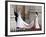 The Royal Wedding of Prince William and Kate Middleton in London, Friday April 29th, 2011-null-Framed Photographic Print