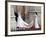 The Royal Wedding of Prince William and Kate Middleton in London, Friday April 29th, 2011-null-Framed Photographic Print