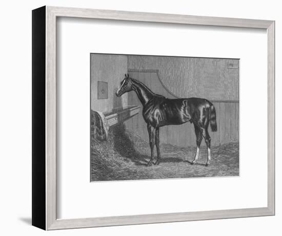 'The Rt. Hon. The Earl of Lichfields Elis. Winner of the St. Leger 1836', 1911-Unknown-Framed Giclee Print