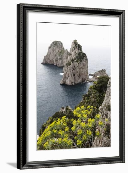 The Rugged Faraglioni Rocks in Capri, Campania, Italy, Mediterranean, Europe-Martin Child-Framed Photographic Print