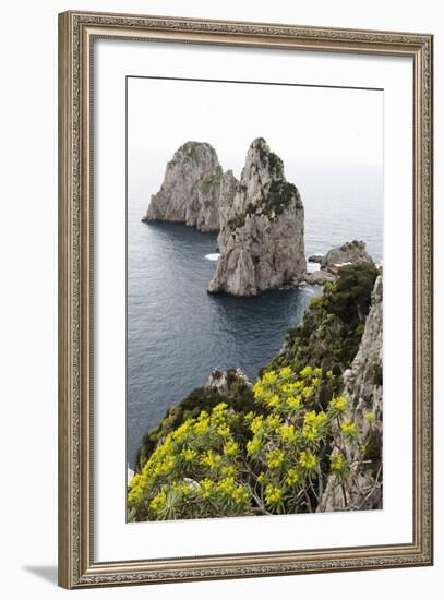 The Rugged Faraglioni Rocks in Capri, Campania, Italy, Mediterranean, Europe-Martin Child-Framed Photographic Print