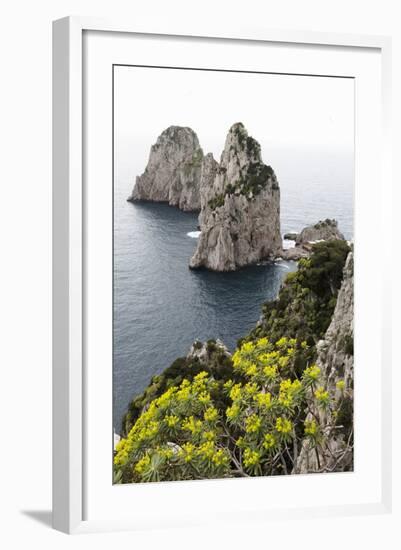 The Rugged Faraglioni Rocks in Capri, Campania, Italy, Mediterranean, Europe-Martin Child-Framed Photographic Print