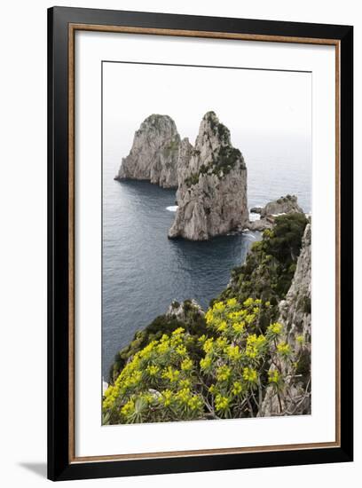 The Rugged Faraglioni Rocks in Capri, Campania, Italy, Mediterranean, Europe-Martin Child-Framed Photographic Print