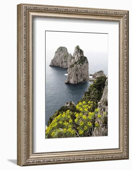 The Rugged Faraglioni Rocks in Capri, Campania, Italy, Mediterranean, Europe-Martin Child-Framed Photographic Print