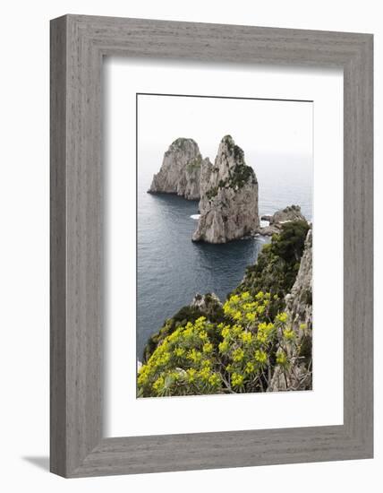 The Rugged Faraglioni Rocks in Capri, Campania, Italy, Mediterranean, Europe-Martin Child-Framed Photographic Print