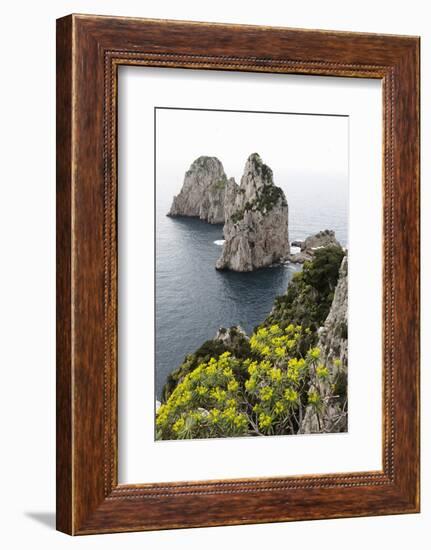 The Rugged Faraglioni Rocks in Capri, Campania, Italy, Mediterranean, Europe-Martin Child-Framed Photographic Print