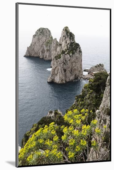 The Rugged Faraglioni Rocks in Capri, Campania, Italy, Mediterranean, Europe-Martin Child-Mounted Photographic Print