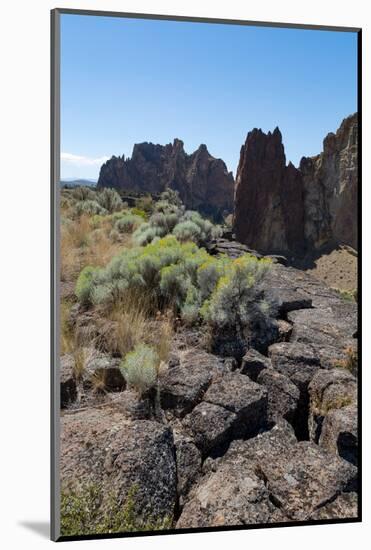 The rugged Smith Rock State Park in central Oregon's High Desert, near Bend, Oregon, United States -Martin Child-Mounted Photographic Print