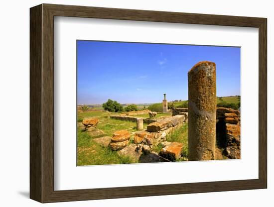 The Ruins of Chellah with Minaret, Rabat, Morocco, North Africa, Africa-Neil Farrin-Framed Photographic Print