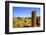 The Ruins of Chellah with Minaret, Rabat, Morocco, North Africa, Africa-Neil Farrin-Framed Photographic Print