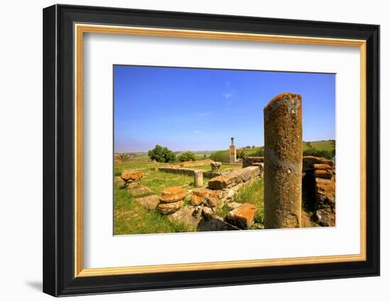 The Ruins of Chellah with Minaret, Rabat, Morocco, North Africa, Africa-Neil Farrin-Framed Photographic Print