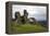 The ruins of Dinas Bran, a medieval castle near Llangollen, Denbighshire, Wales, United Kingdom, Eu-David Pickford-Framed Premier Image Canvas