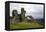 The ruins of Dinas Bran, a medieval castle near Llangollen, Denbighshire, Wales, United Kingdom, Eu-David Pickford-Framed Premier Image Canvas
