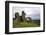 The ruins of Dinas Bran, a medieval castle near Llangollen, Denbighshire, Wales, United Kingdom, Eu-David Pickford-Framed Photographic Print