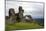 The ruins of Dinas Bran, a medieval castle near Llangollen, Denbighshire, Wales, United Kingdom, Eu-David Pickford-Mounted Photographic Print