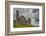 The ruins of the Rock of Cashel, Cashel, County Tipperary, Munster, Republic of Ireland, Europe-Nigel Hicks-Framed Photographic Print