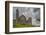 The ruins of the Rock of Cashel, Cashel, County Tipperary, Munster, Republic of Ireland, Europe-Nigel Hicks-Framed Photographic Print
