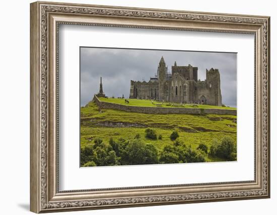 The ruins of the Rock of Cashel, Cashel, County Tipperary, Munster, Republic of Ireland, Europe-Nigel Hicks-Framed Photographic Print