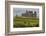 The ruins of the Rock of Cashel, Cashel, County Tipperary, Munster, Republic of Ireland, Europe-Nigel Hicks-Framed Photographic Print