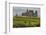 The ruins of the Rock of Cashel, Cashel, County Tipperary, Munster, Republic of Ireland, Europe-Nigel Hicks-Framed Photographic Print