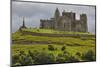 The ruins of the Rock of Cashel, Cashel, County Tipperary, Munster, Republic of Ireland, Europe-Nigel Hicks-Mounted Photographic Print