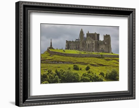 The ruins of the Rock of Cashel, Cashel, County Tipperary, Munster, Republic of Ireland, Europe-Nigel Hicks-Framed Photographic Print