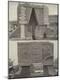 Photographic Print