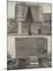 Photographic Print