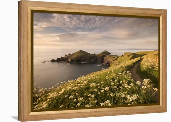 The Rumps, Pentire Head, Devon Coastal Path, Cornwall, UK-Ross Hoddinott-Framed Premier Image Canvas