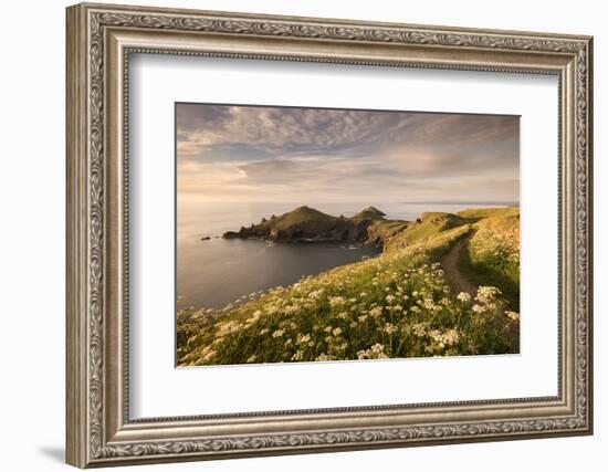 The Rumps, Pentire Head, Devon Coastal Path, Cornwall, UK-Ross Hoddinott-Framed Photographic Print