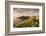 The Rumps, Pentire Head, Devon Coastal Path, Cornwall, UK-Ross Hoddinott-Framed Photographic Print