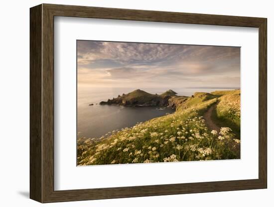 The Rumps, Pentire Head, Devon Coastal Path, Cornwall, UK-Ross Hoddinott-Framed Photographic Print