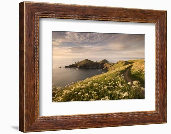 The Rumps, Pentire Head, Devon Coastal Path, Cornwall, UK-Ross Hoddinott-Framed Photographic Print