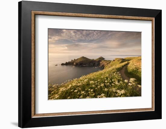 The Rumps, Pentire Head, Devon Coastal Path, Cornwall, UK-Ross Hoddinott-Framed Photographic Print