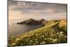 The Rumps, Pentire Head, Devon Coastal Path, Cornwall, UK-Ross Hoddinott-Mounted Photographic Print
